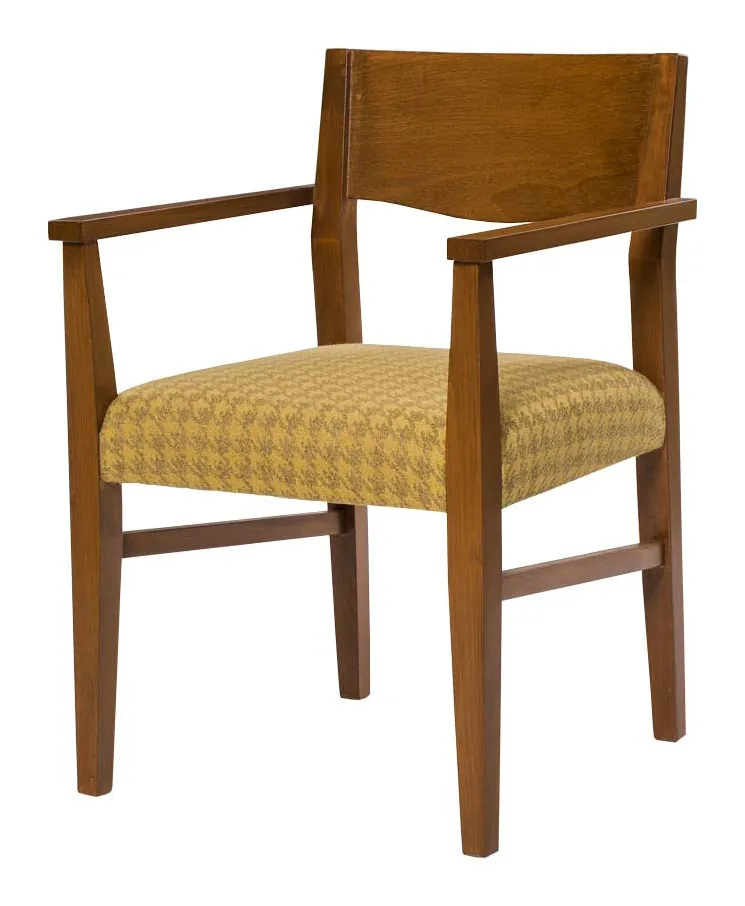 Homeros Kollu Sandalye, VNS-1166
