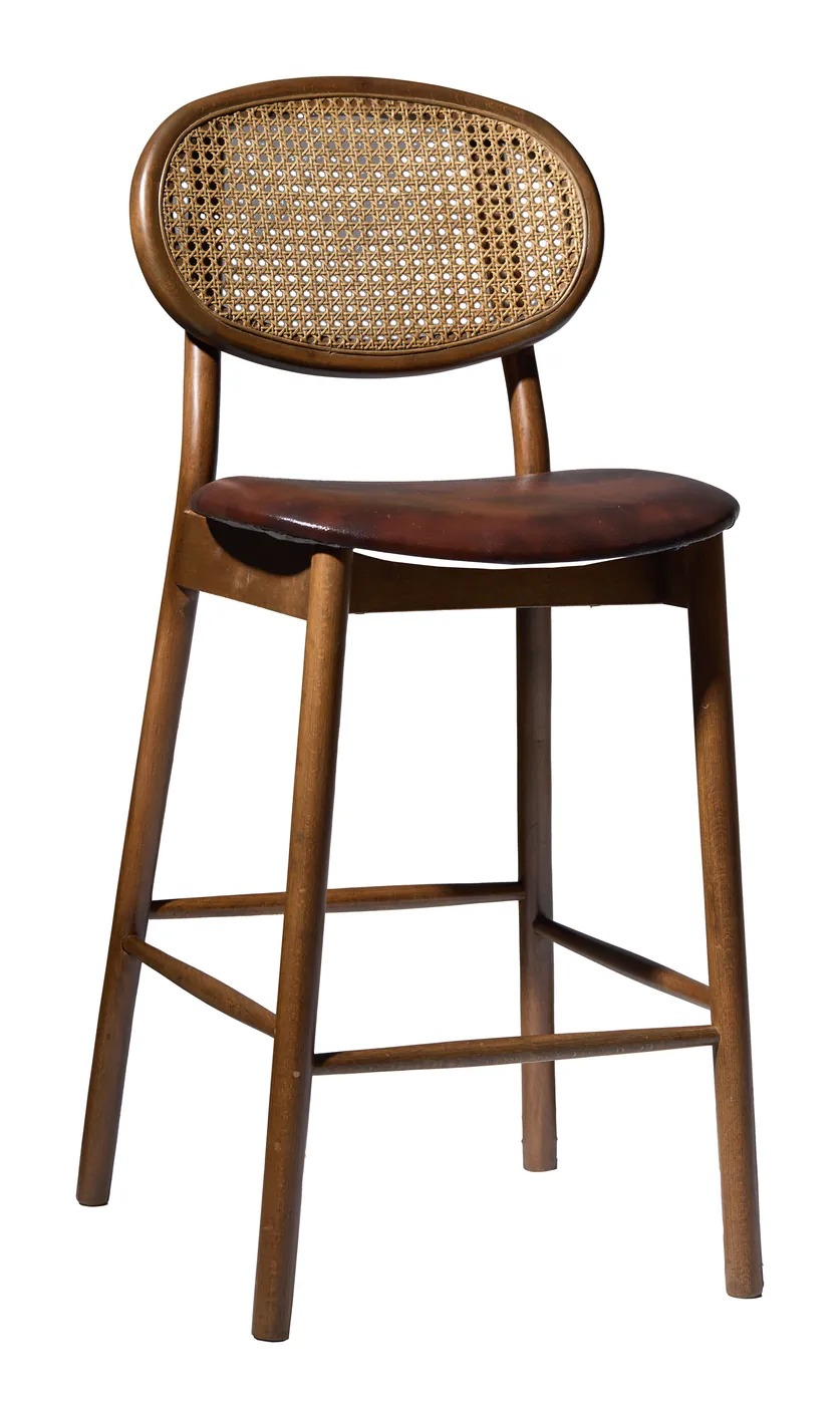 Kaşgar Bar Taburesi, VNS-1281
